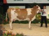 space2011 denree